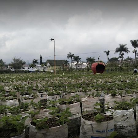 Villa Musti Green Apple Cipanas Sindanglaya Esterno foto